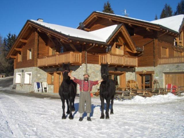 Agriturismo Chalet Caribona Villa Valdisotto Buitenkant foto